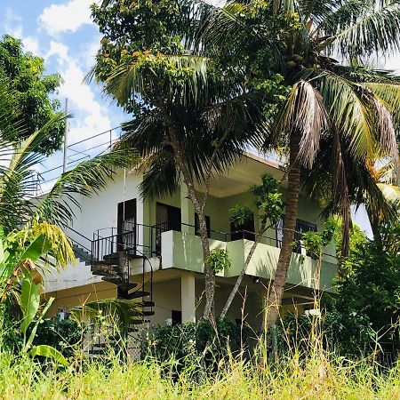 Rice Field View Home Stay Tangalle Exteriér fotografie