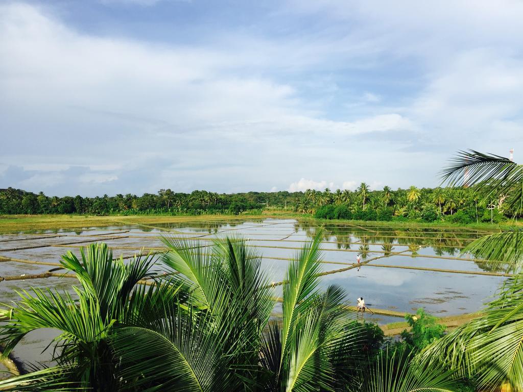Rice Field View Home Stay Tangalle Pokoj fotografie