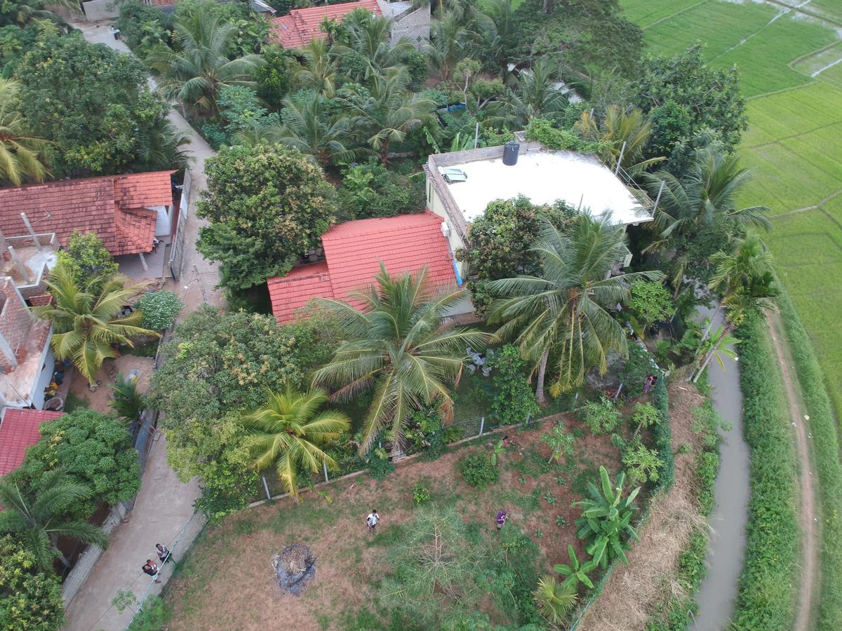Rice Field View Home Stay Tangalle Exteriér fotografie