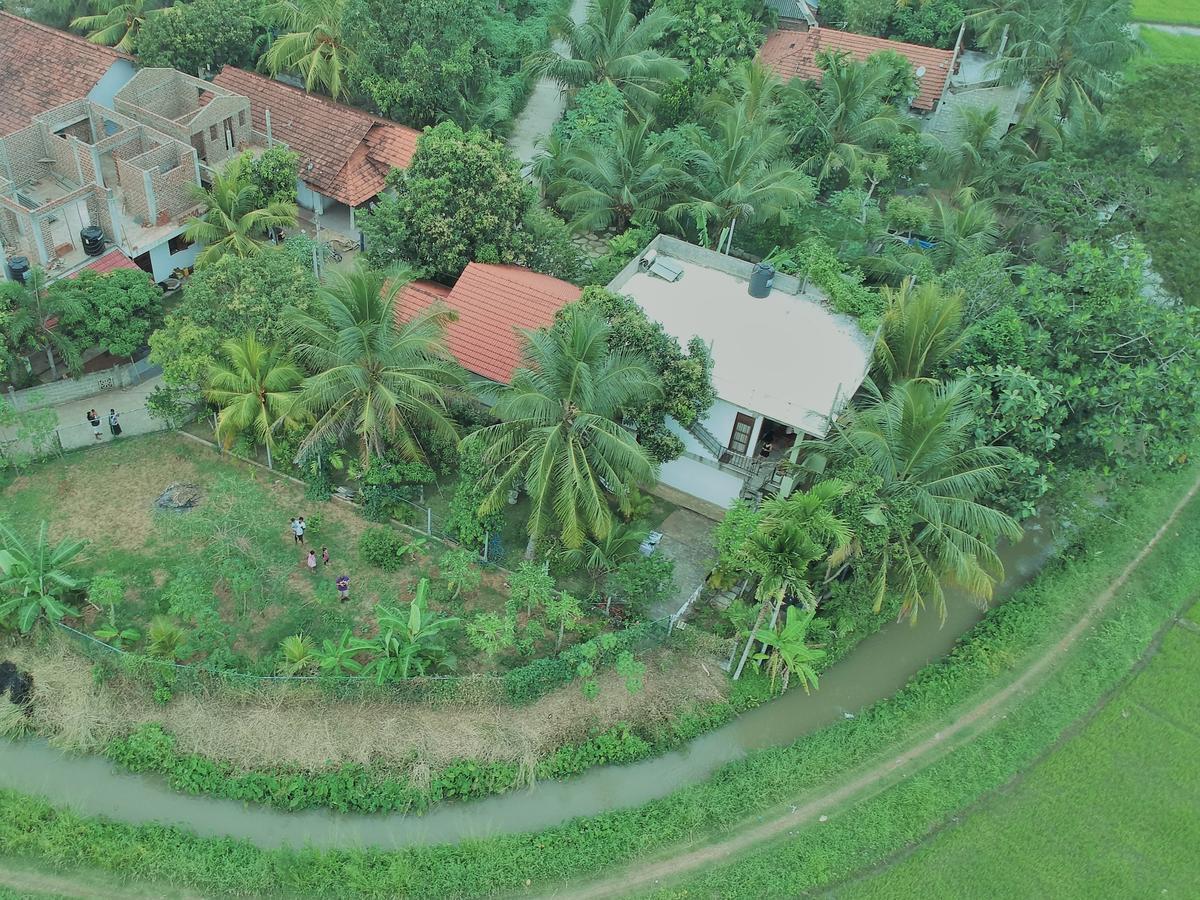 Rice Field View Home Stay Tangalle Exteriér fotografie