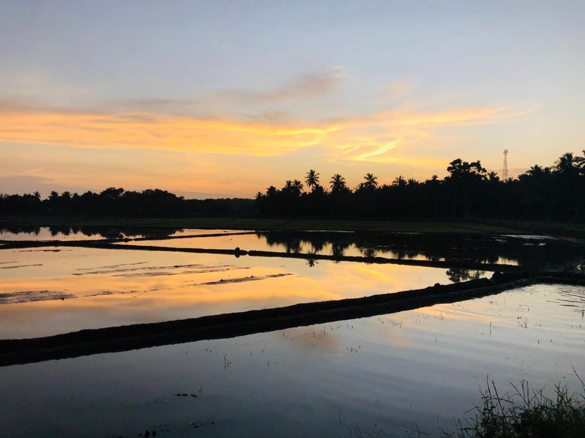 Rice Field View Home Stay Tangalle Exteriér fotografie